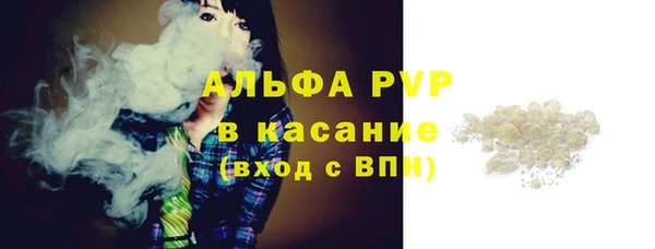 гидра Абаза
