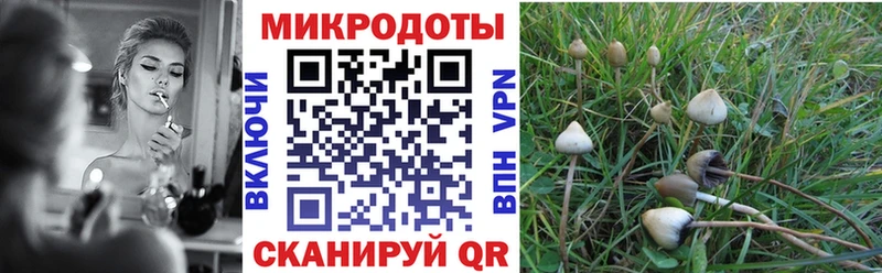 Галлюциногенные грибы GOLDEN TEACHER  OMG ссылка  Шахунья  как найти наркотики 