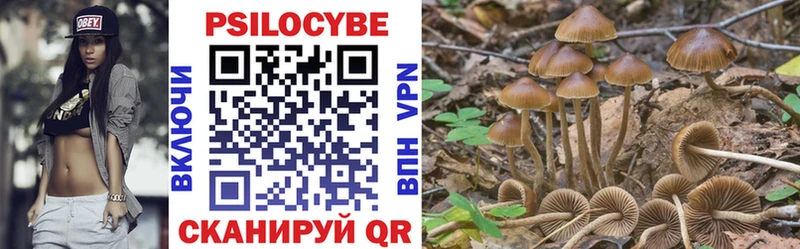 Галлюциногенные грибы MAGIC MUSHROOMS Шахунья