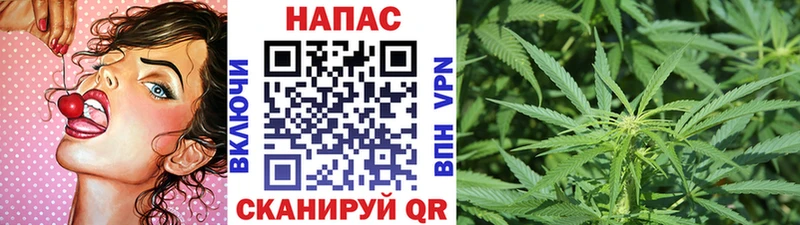 Конопля ГИДРОПОН  Шахунья 